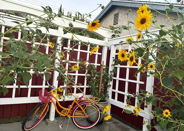 In A Quiet Neighborhood Near The Main Street-Room C